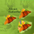 Attract Butterflies version 0.0.3