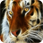 Auburn tiger icon