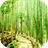 Bamboo Forest Live Wallpaper version 1.1