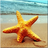 Beach HD Wallpaper icon