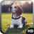 Beagle Wallpaper icon