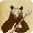 Bear HD Live Wallpaper icon
