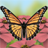 Beautiful Butterflies Free icon