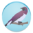 Bird Watching Blogs Free icon