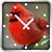 Birds Clock Widget APK Download