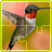 Birds Jigsaw Game APK Download