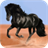Black horse. Animal wallpapers icon