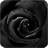 Black Rose Live Wallpaper icon
