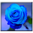 Blue Rose icon