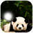 Panda Photo Frame icon