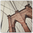 Brooklyn Bridge icon