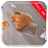 Butterflies in Slowmo LWP icon