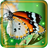 Butterfly Cool 2016 icon