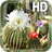 Cactus Flowers LWP icon