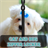 Cat and Dog Zipper Lock icon