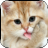 Cat Licks Screen Wallpaper icon