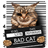 Cats Party icon