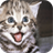 Cats Smiling Wallpapers version 1.0