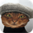 Cats with Clothes Wallpapers icon