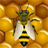 Bees Live Wallpaper icon