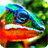Chameleon Live Wallpaper icon