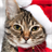 christmas cat wallpapers icon
