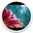 Next Rain Flowers LWP icon