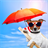 Cool Dog HD Wallpaper icon