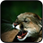 Cougar Wallpapers icon