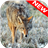 Coyote Wallpapers icon