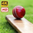 Cricket Wallpapers HD+4K version v3.0