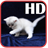 Cute Kitten HD Wallpaper icon