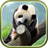 Panda Live Wallpaper 1.0.1