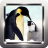 Penguin Wallpapers icon