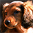 dachshund puppy wallpaper icon