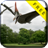 Dino Pterodactyl Over Canyon Live Wallpaper APK Download