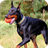 Doberman Dog Wallpaper icon
