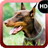 Doberman Wallpaper icon