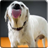 Descargar Dog Licks Screen 4K Wallpaper