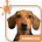 Doggy Dream Animated Keyboard icon