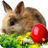 Easter Bunny APK Download