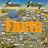 Descargar Facts about Silicon Valley