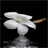 Dewy White Flower LWP icon