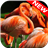 Flamingo Wallpapers icon