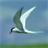 Flightofgull Wallpaper icon