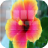 Flower Photo Keyboard icon