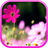 Flowers Wallpaper Collection APK Download