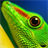 free lizard wallpaper icon