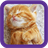 Funny Kitten Wallpapers icon