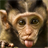 funny monkey wallpapers version 1.1